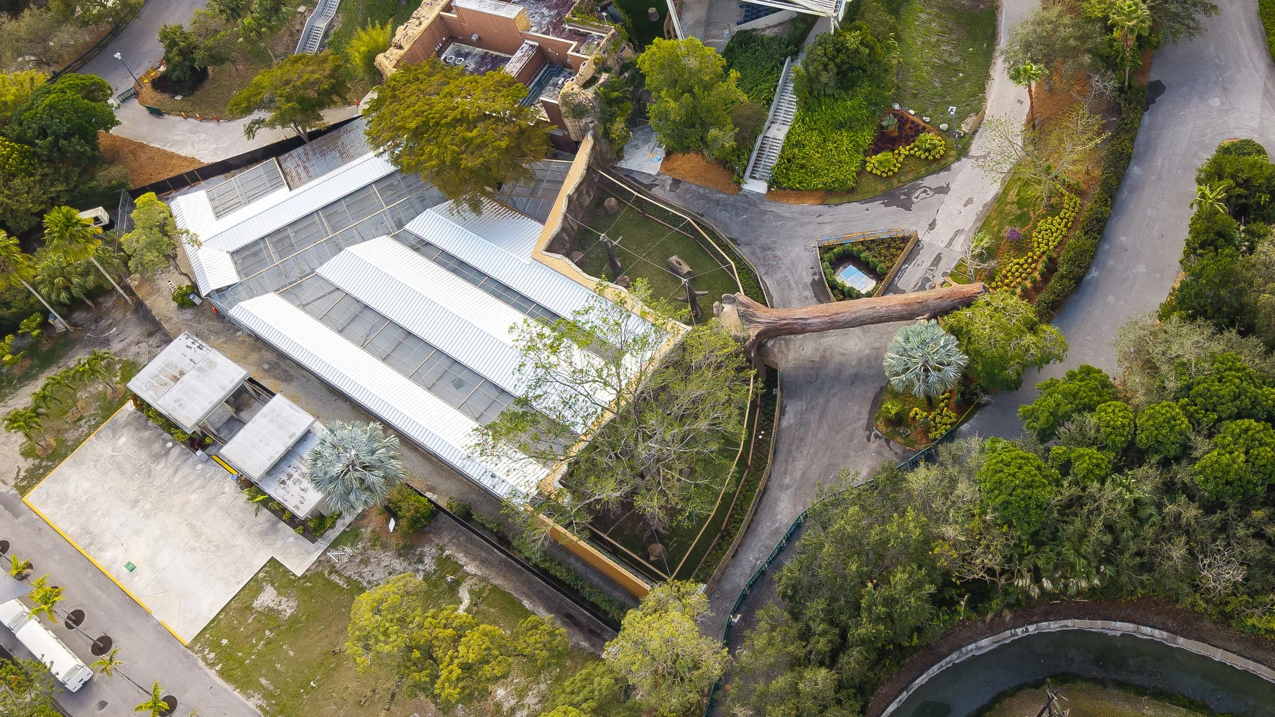 Zoo Miami | Wild Connection — ELM ARCH